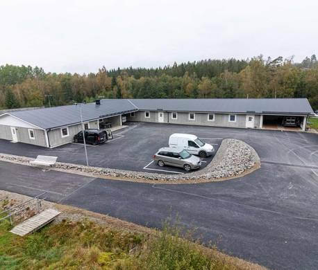 Kustmarkens hundtjänst